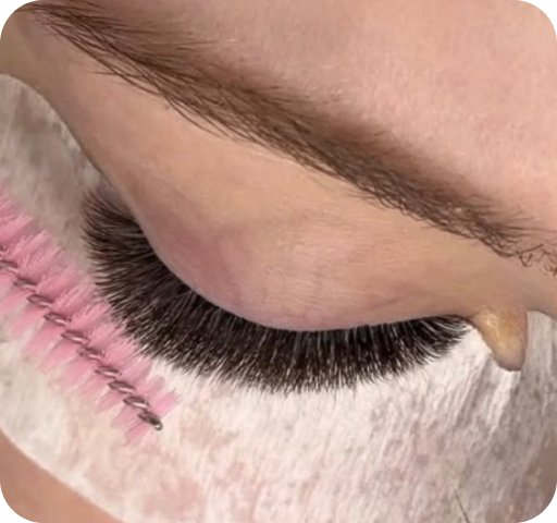 31b77041-067f-4070-be66-e4d64b8445ff